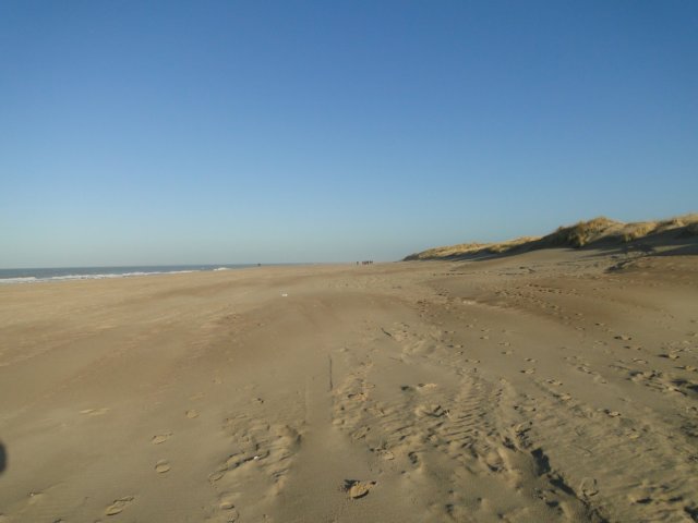 NWK 2010 228.jpg